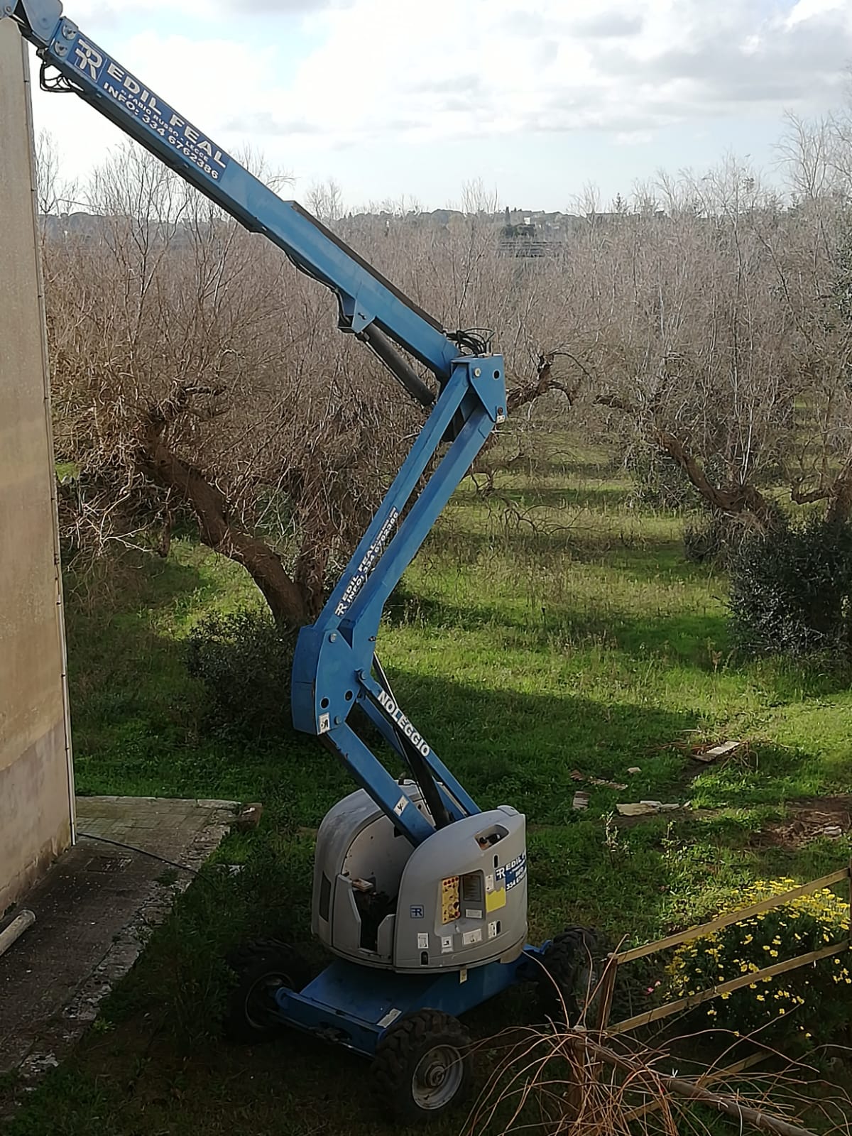 Columella 6