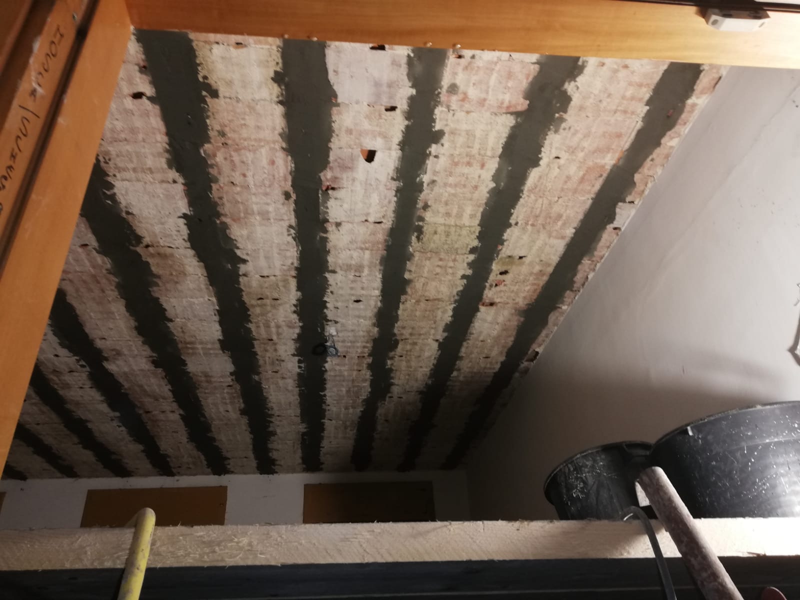 Columella 9