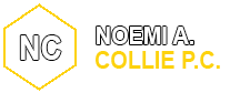 noemi collie p.c. logo