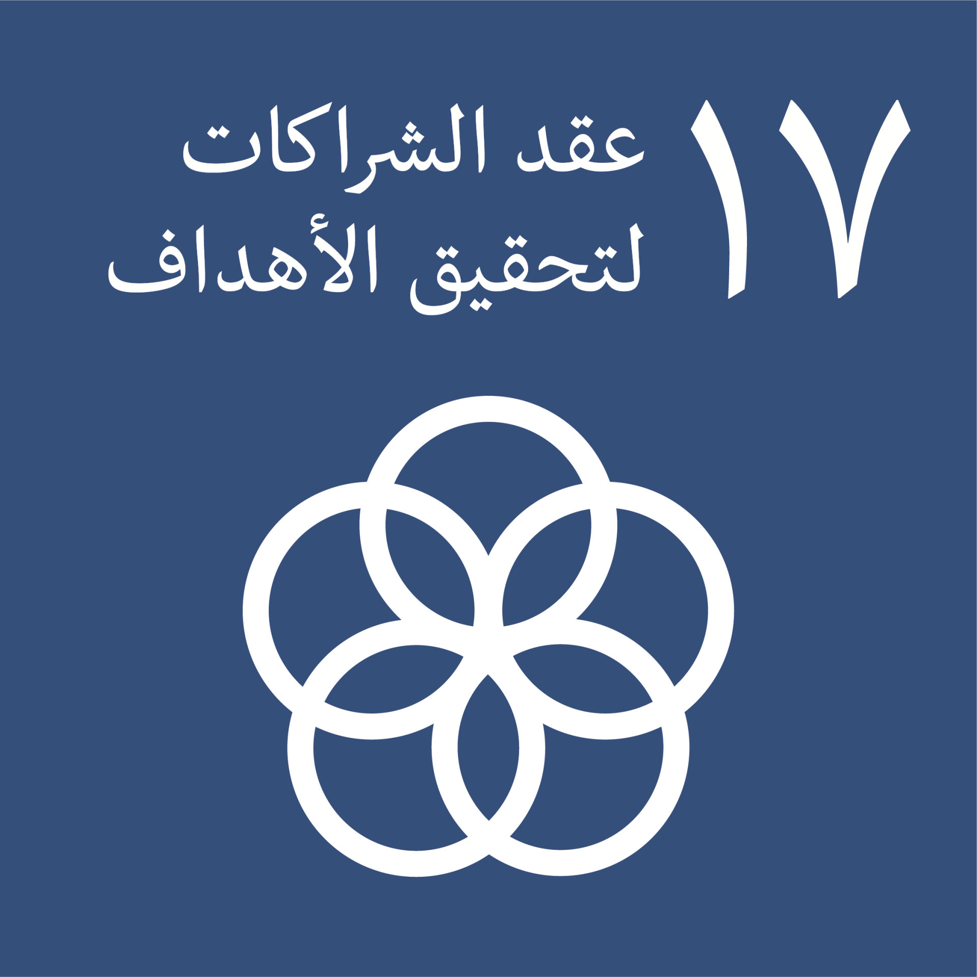 Albaydha Housing Project, Vision 2030