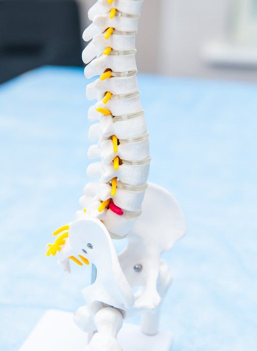 Chiropractic Services in Niagara Chiropractic Services in Hamilton