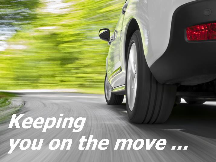 Local Vehicle Rental Company vehicle rental company