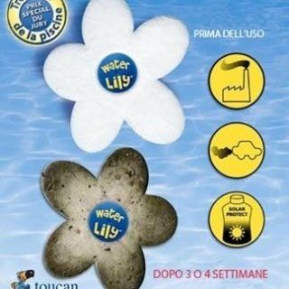 Water Lilly – fiore assorbi unto