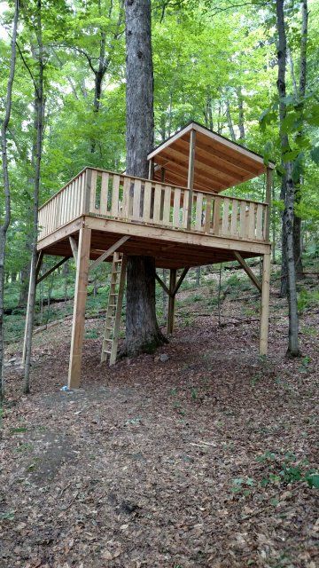 Camp Lookout
