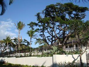 Futura Stone of Hawaii
