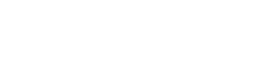 NEM Logo