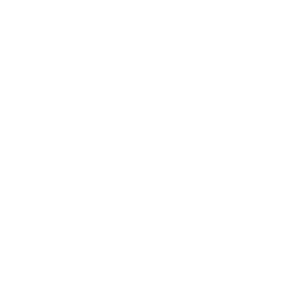 home icon