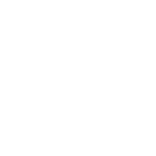 Composite doors icon