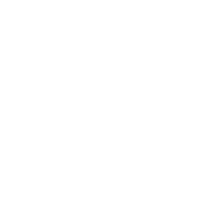 uPVC Doors icon