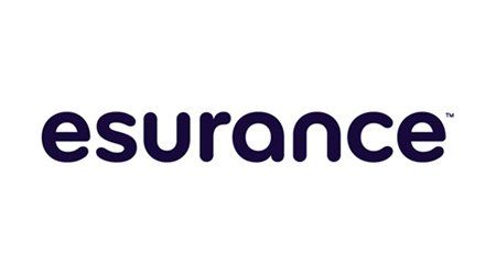 the logo for esurance is on a white background .