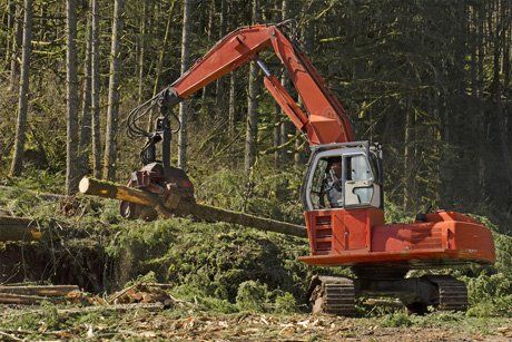 Thinning and lifting