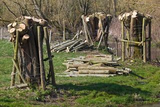 Tree conservation