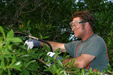 Fruit tree care