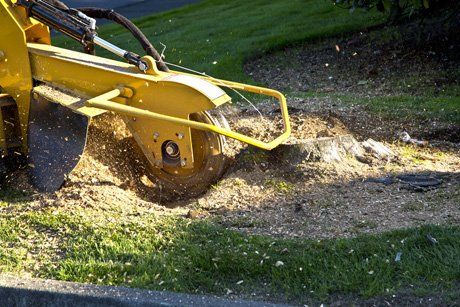 stumps and roots removing