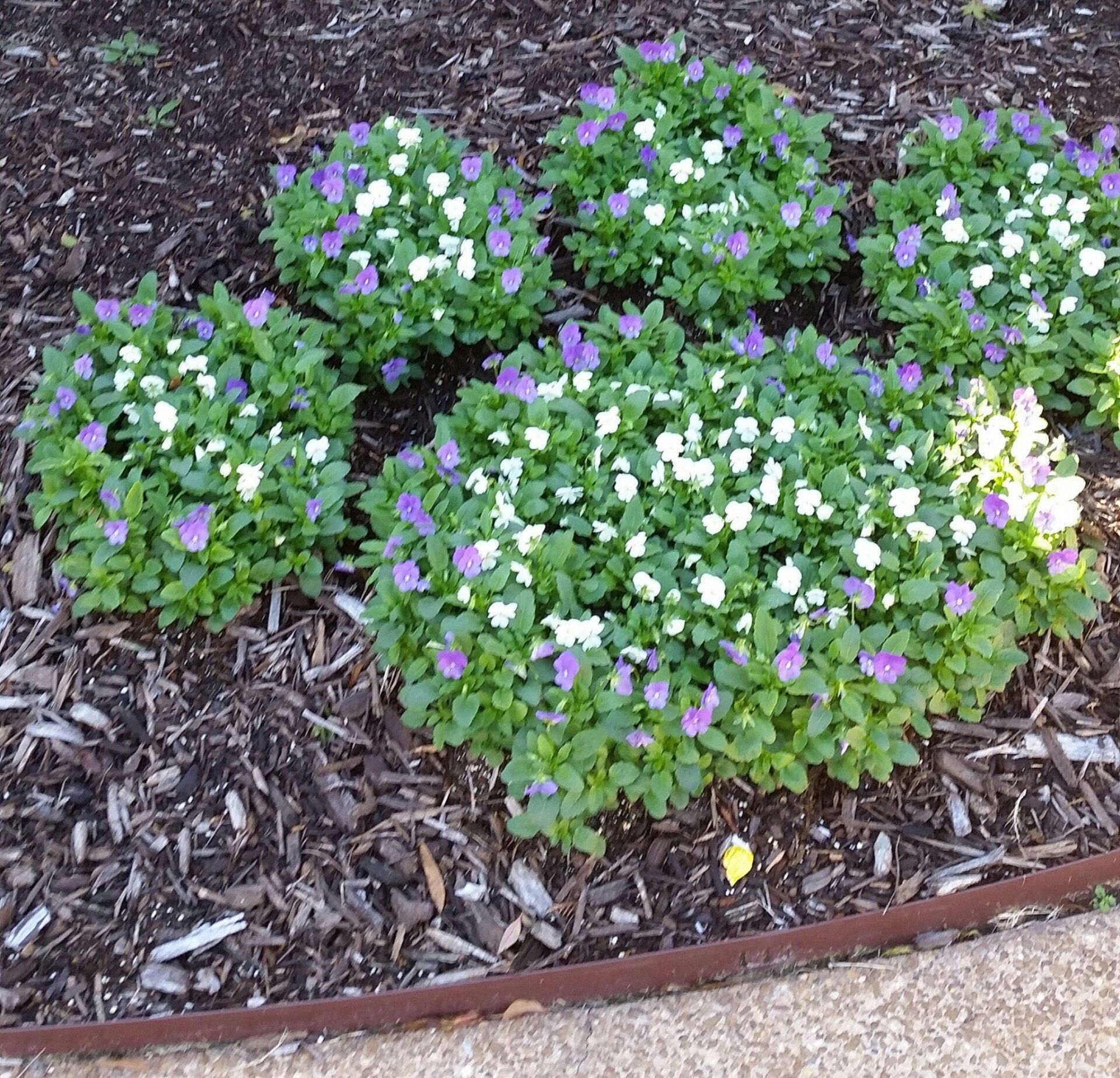 Landscape Design with Plants and Flowers — Memphis, TN — Serene Scenes Lawn and Landscape Landscape Design with Plants and Flowers — Memphis, TN — Serene Scenes Lawn and Landscape