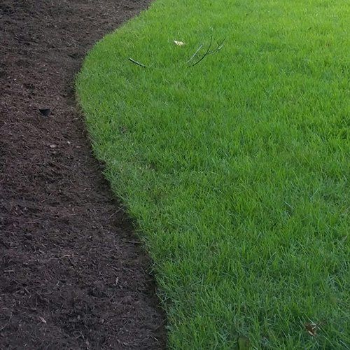 Bark Mulch Area — Memphis, TN — Serene Scenes Lawn and Landscape
