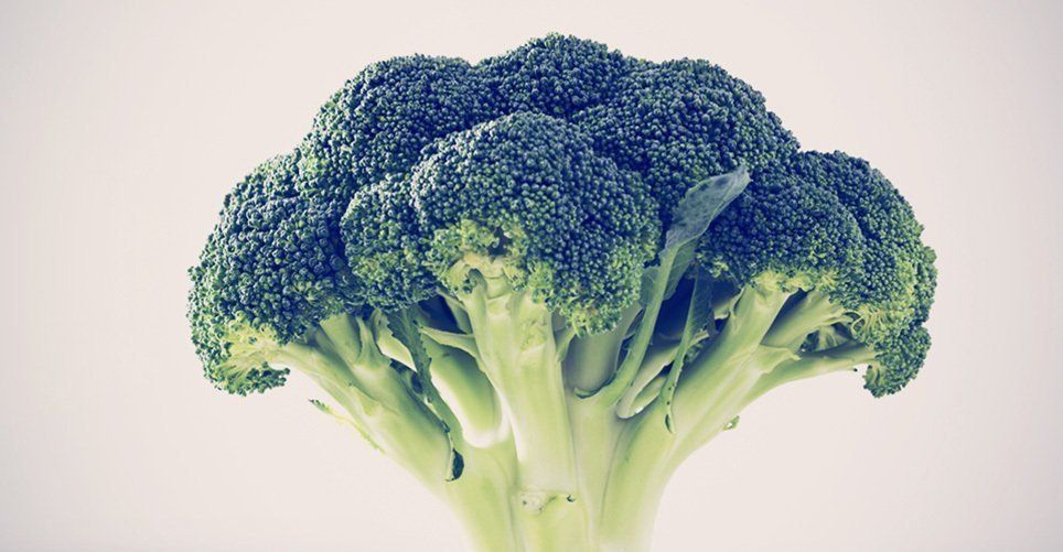 a picture of broccoli