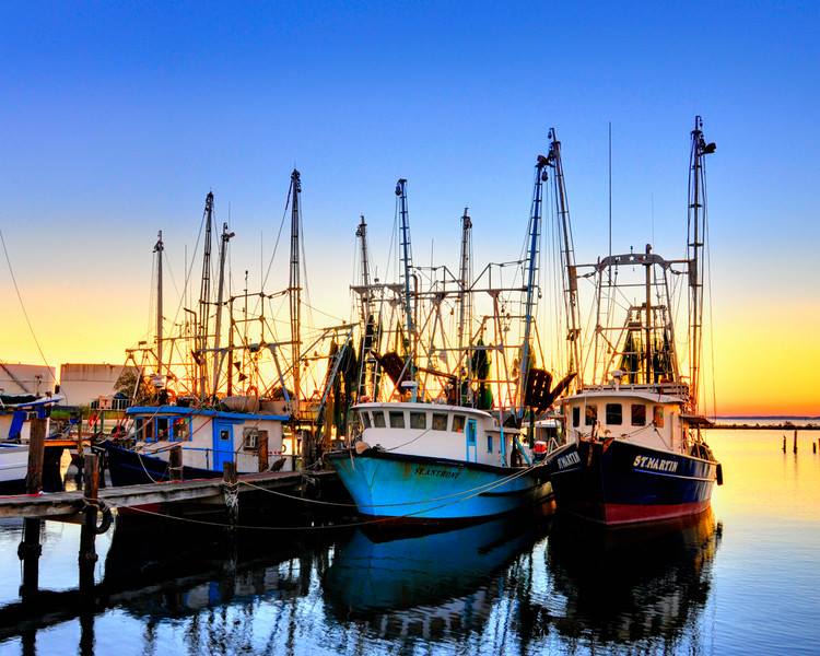 Fishing boats docked at sunset, silhouetted against the colorful sky, water reflecting the scene.