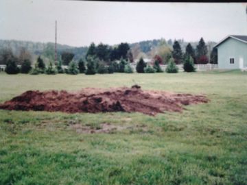 Stump Grinding After — Stump Removal in Eugene, OR Stump Grinding After — Stump Removal in Eugene, OR