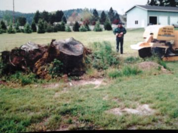 Stump Grinding Before — Stump Removal in Eugene, OR Stump Grinding Before — Stump Removal in Eugene, OR
