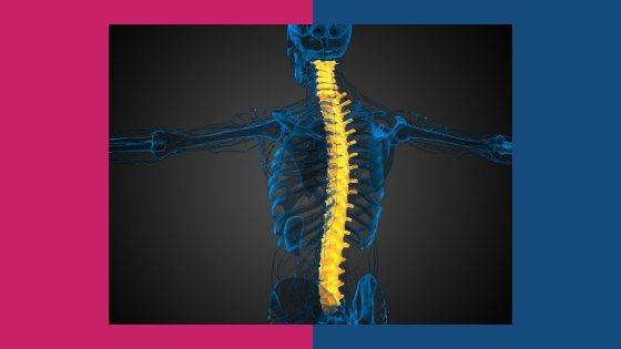 Six tips for maintaining spine health as you age Parkstone Osteopaths in Poole Dorset