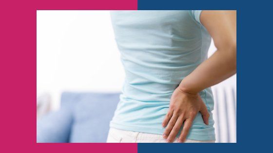 The sciatic nerve is the longest and widest nerve in the human body