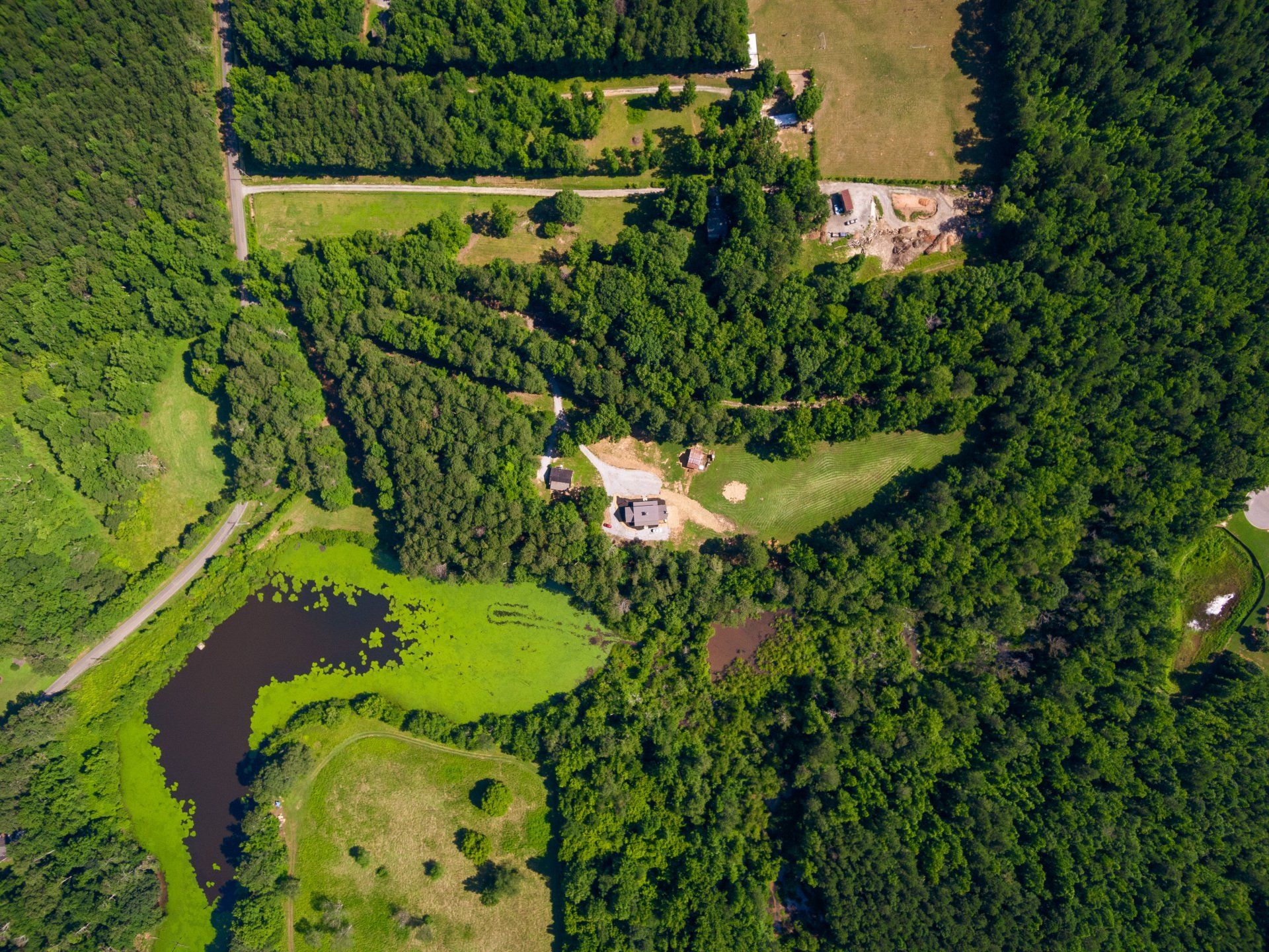 An aerial view of a lush green forest with a pond in the middle.