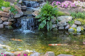 Koi Pond — Newnan, GA — Aqua Gardens Koi Pond — Newnan, GA — Aqua Gardens