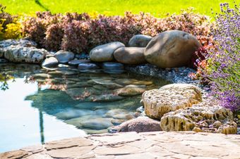 Clean Pond — Newnan, GA — Aqua Gardens Clean Pond — Newnan, GA — Aqua Gardens
