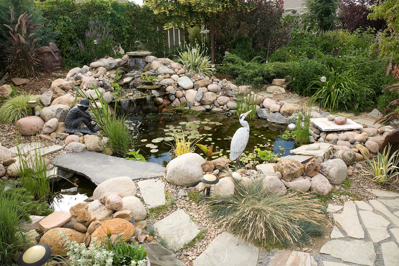 Newly Repaired Pond — Newnan, GA — Aqua Gardens