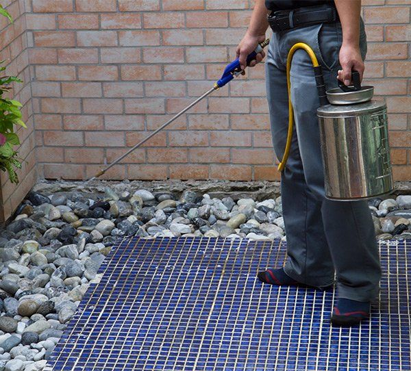Pest Control Worker With Sprayer — McCarron’s Pest Control in Maclean NSW Pest Control Worker With Sprayer — McCarron’s Pest Control in Maclean NSW