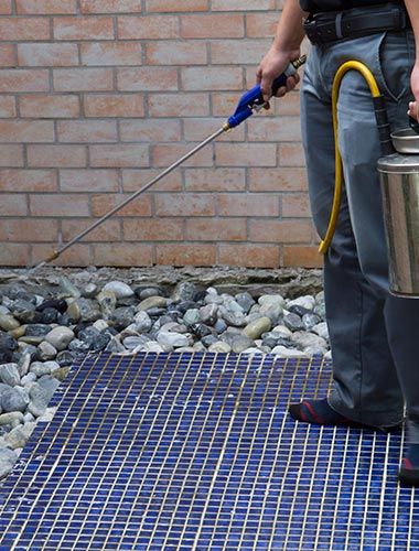 Pest Control Worker With Sprayer — McCarron’s Pest Control in Maclean NSW Pest Control Worker With Sprayer — McCarron’s Pest Control in Maclean NSW