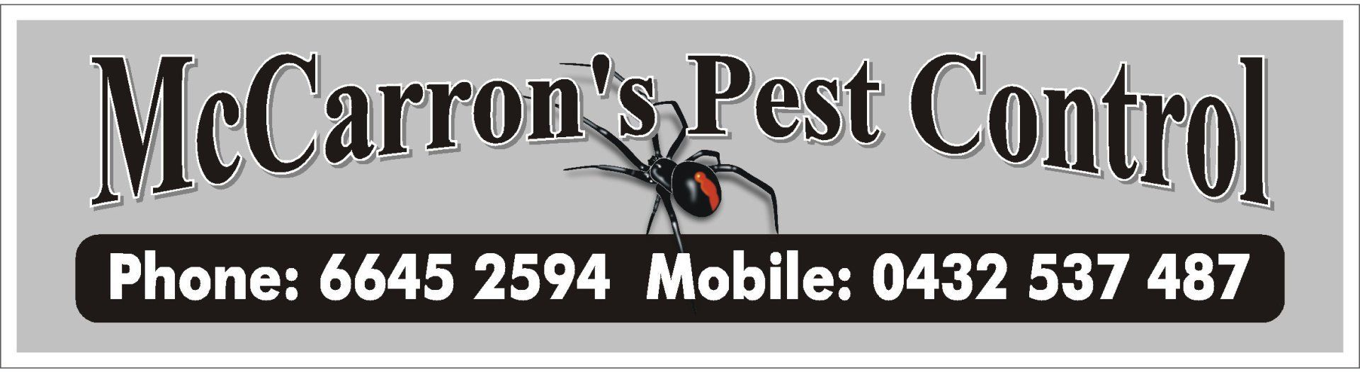 Pest Control in Maclean Pest Control in Maclean