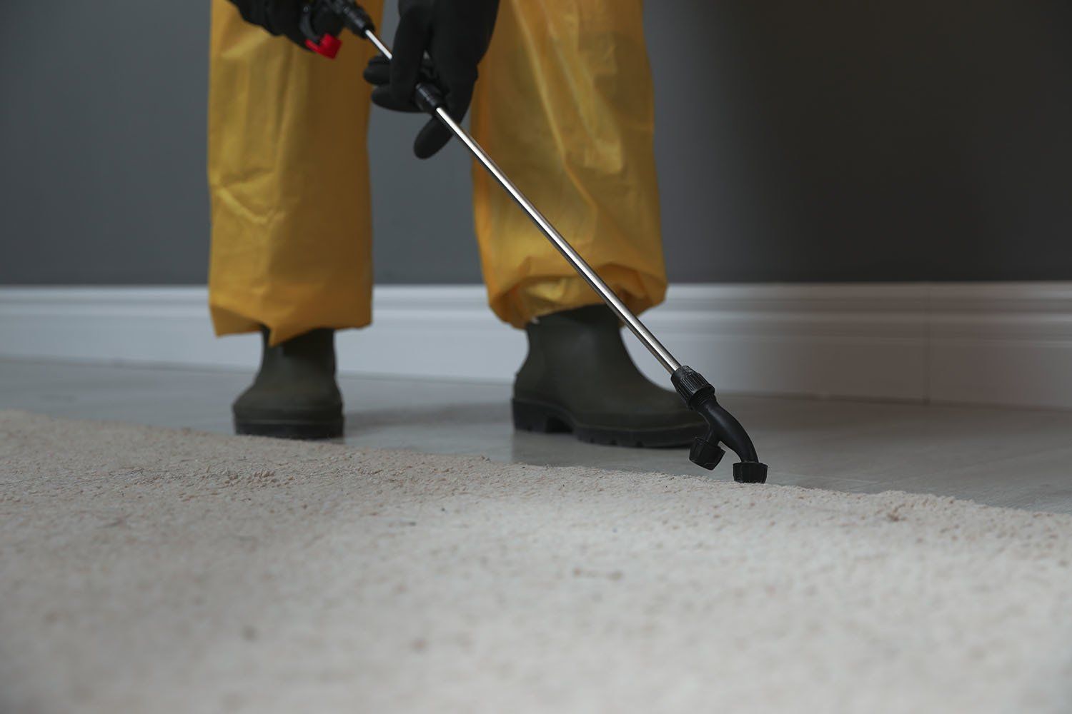 Spraying Insecticide On Floor — McCarron’s Pest Control in Maclean NSW Spraying Insecticide On Floor — McCarron’s Pest Control in Maclean NSW