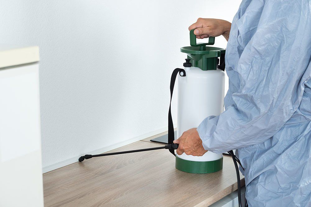 Spraying Pesticide On kitchen — McCarron’s Pest Control in Maclean NSW Spraying Pesticide On kitchen — McCarron’s Pest Control in Maclean NSW