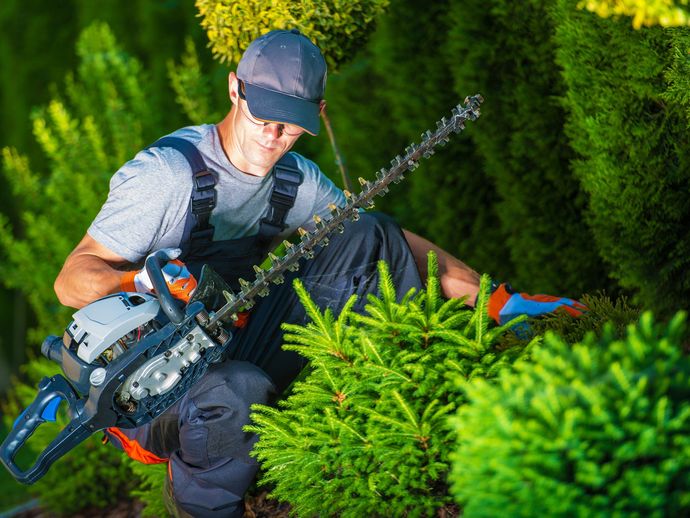 Tree Trimming — Allentown, PA — Hire A Husband, Inc. Tree Trimming — Allentown, PA — Hire A Husband, Inc.