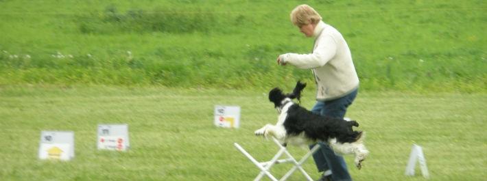 VA Pet Day Care — Old Lady Running With The Dog in Stafford, VA