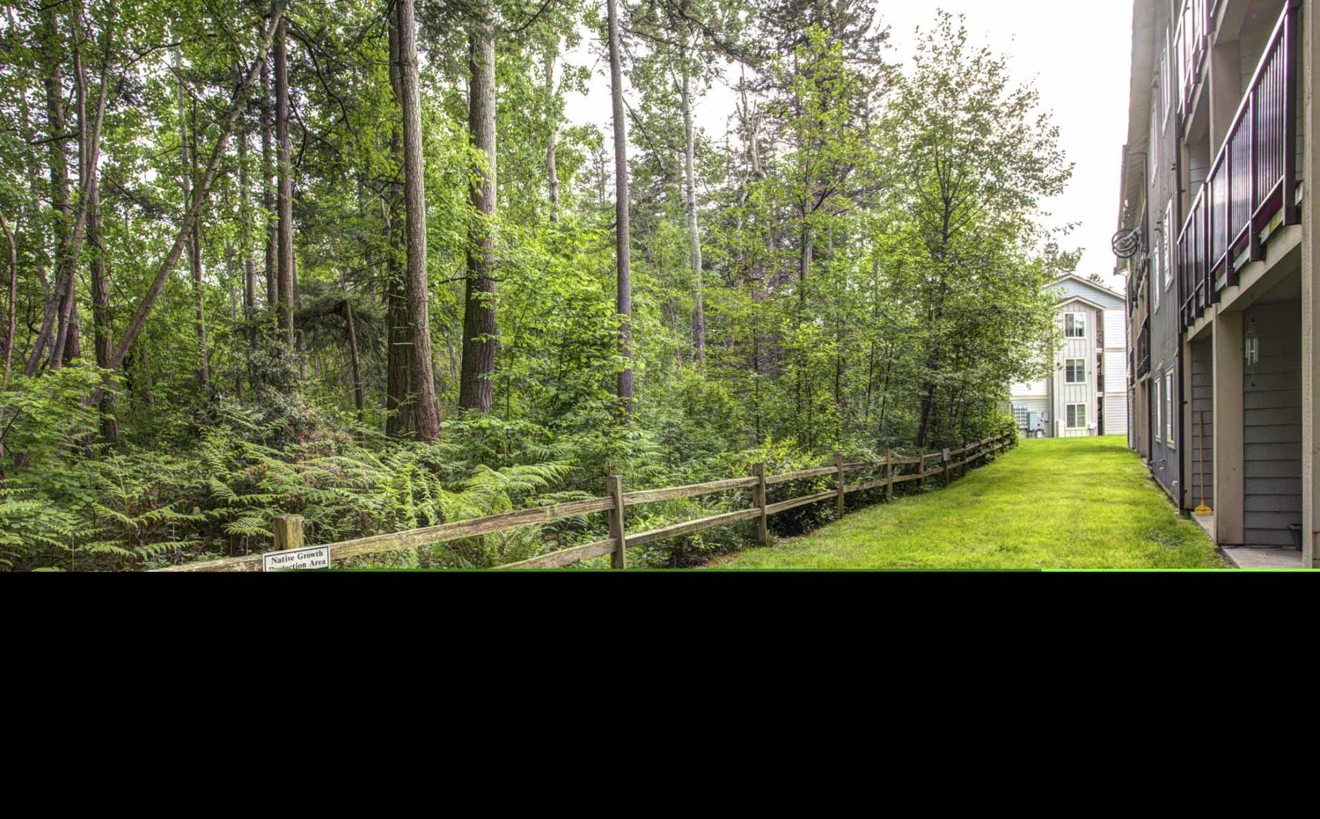 Belleau Woods