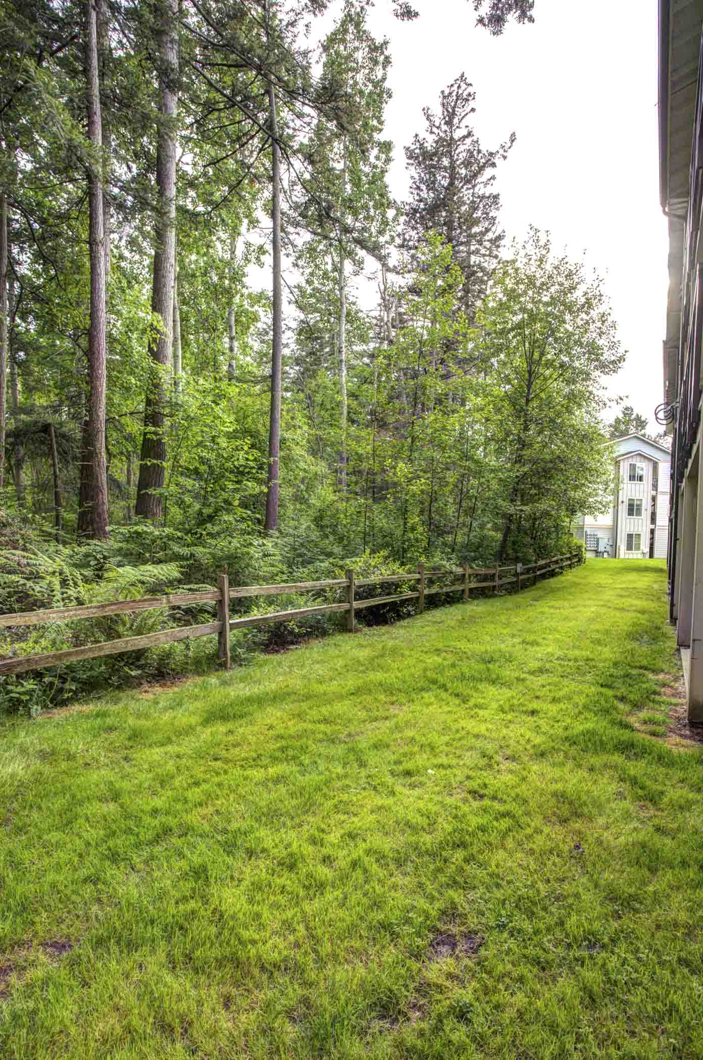 Belleau Woods