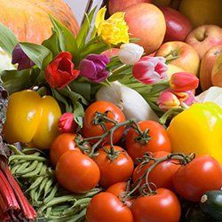 Nutritional Counseling — Nutrition Advise in Manahawkin, NJ Nutritional Counseling — Nutrition Advise in Manahawkin, NJ