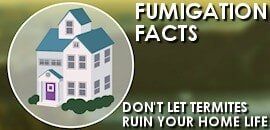 Fumigation Facts Fumigation Facts