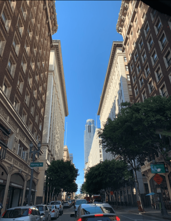 Residential — Man Spraying Pesticide on Window in Los Angeles, CA