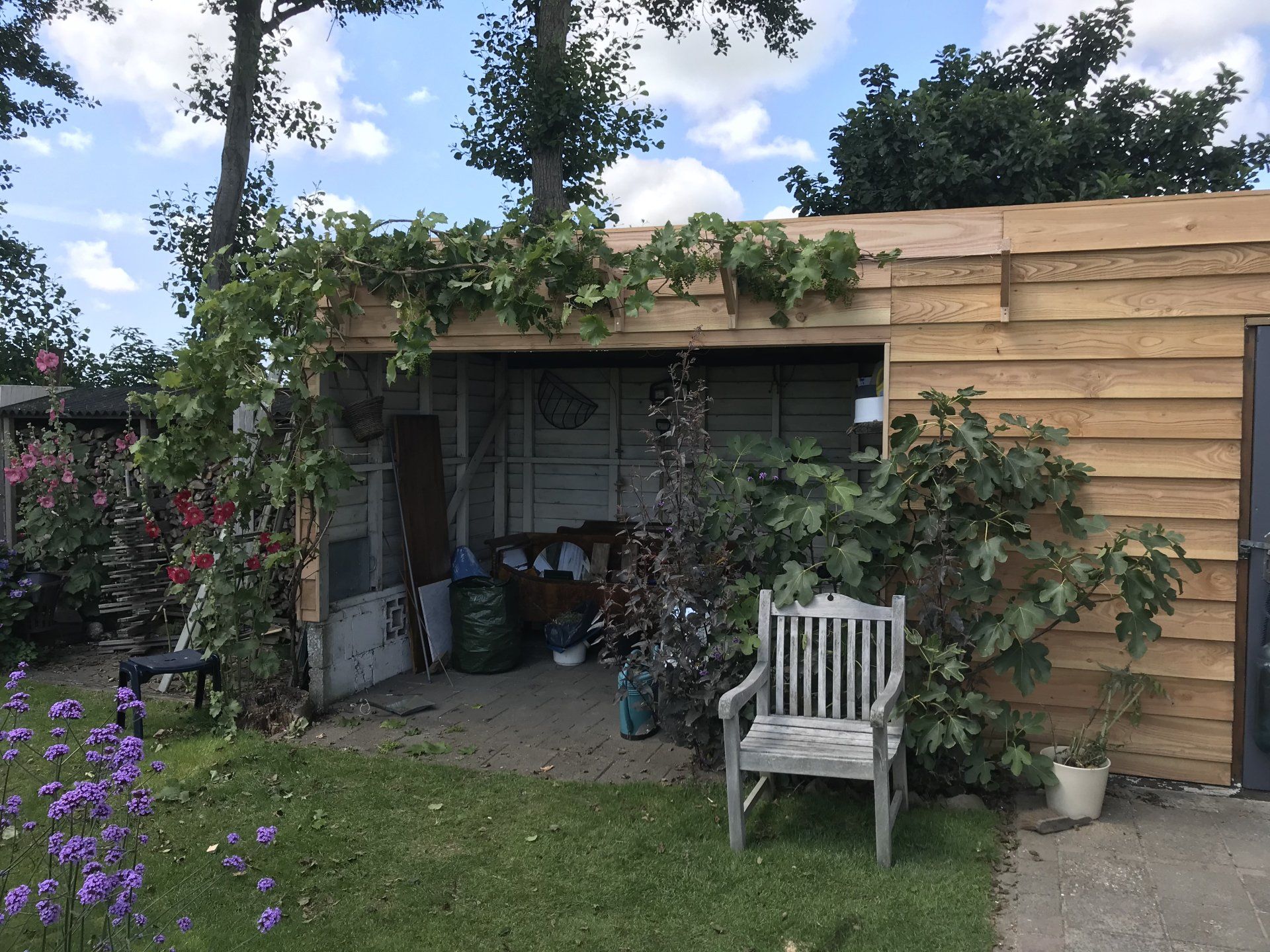 Een houten schuur met klimplanten en een stoel in een tuin; er zijn ook gras, bloemen en bomen aanwezig.