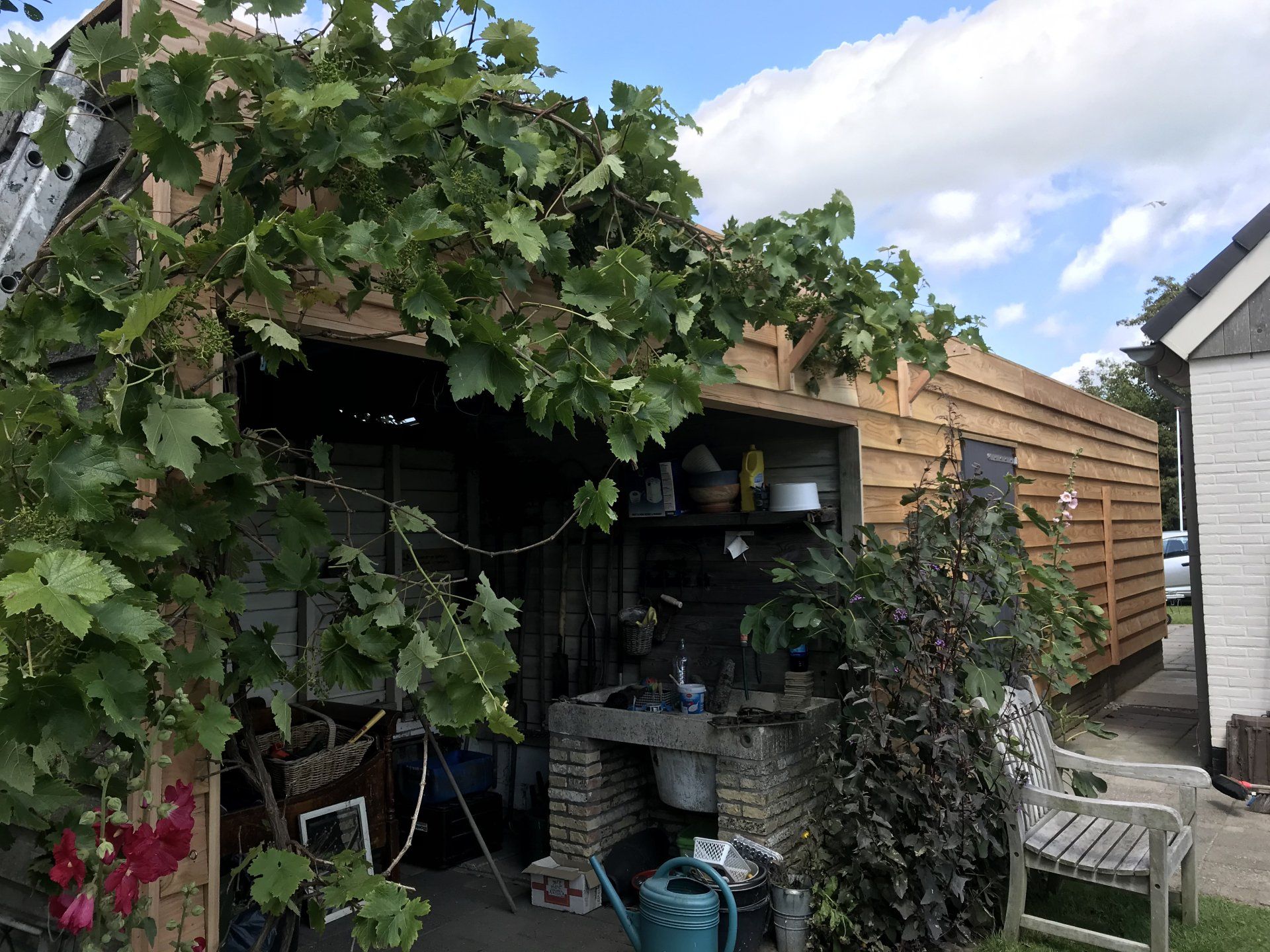 Garage met een houten buitenkant, overwoekerd door klimplanten. Inclusief een stenen wasbak, een bankje en tuingereedschap.