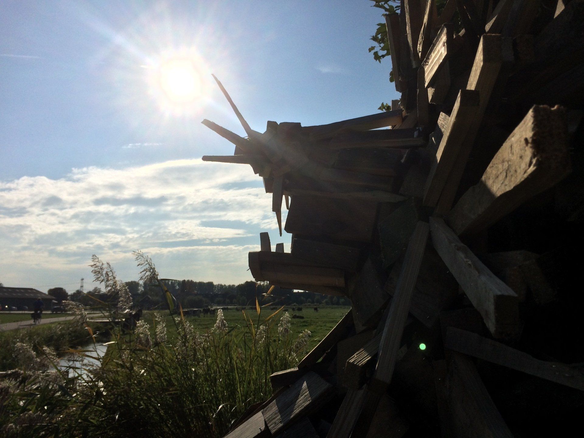 De zon schijnt op een stapel houten planken, met op de achtergrond een grasveld en water.
