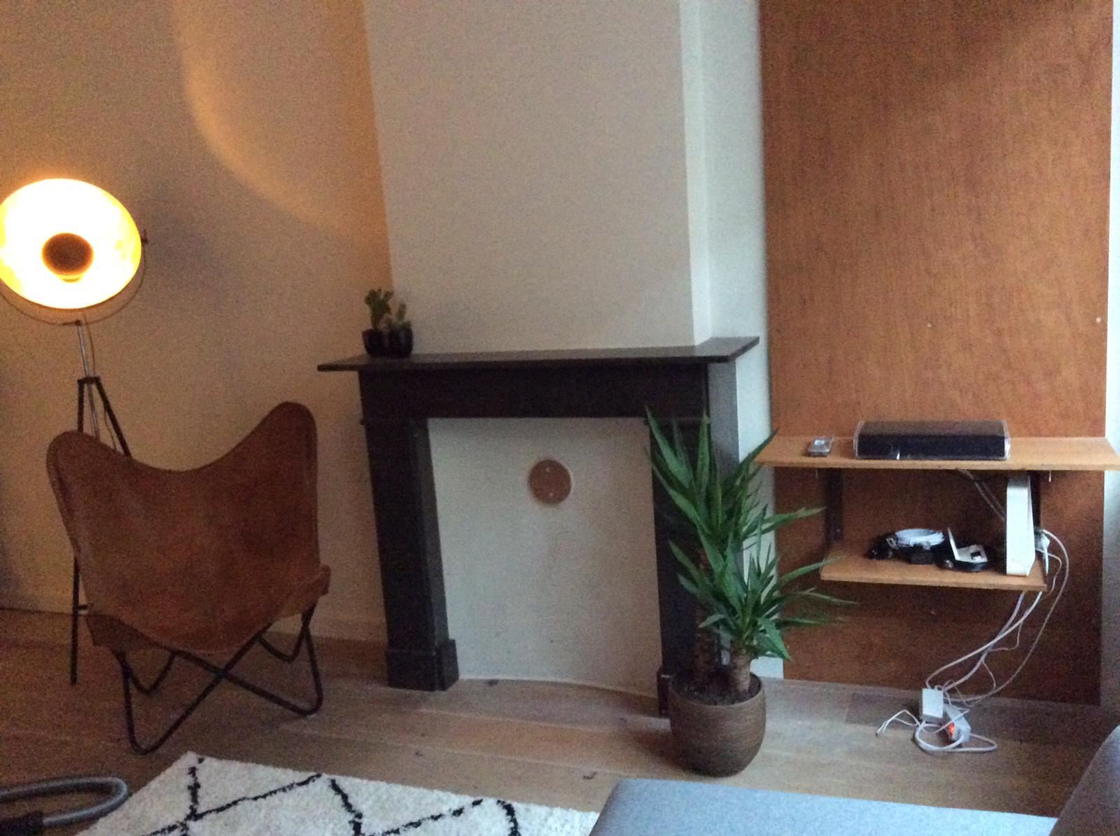 Woonkamer met stoel, lamp, open haard, plant en zwevende plank.