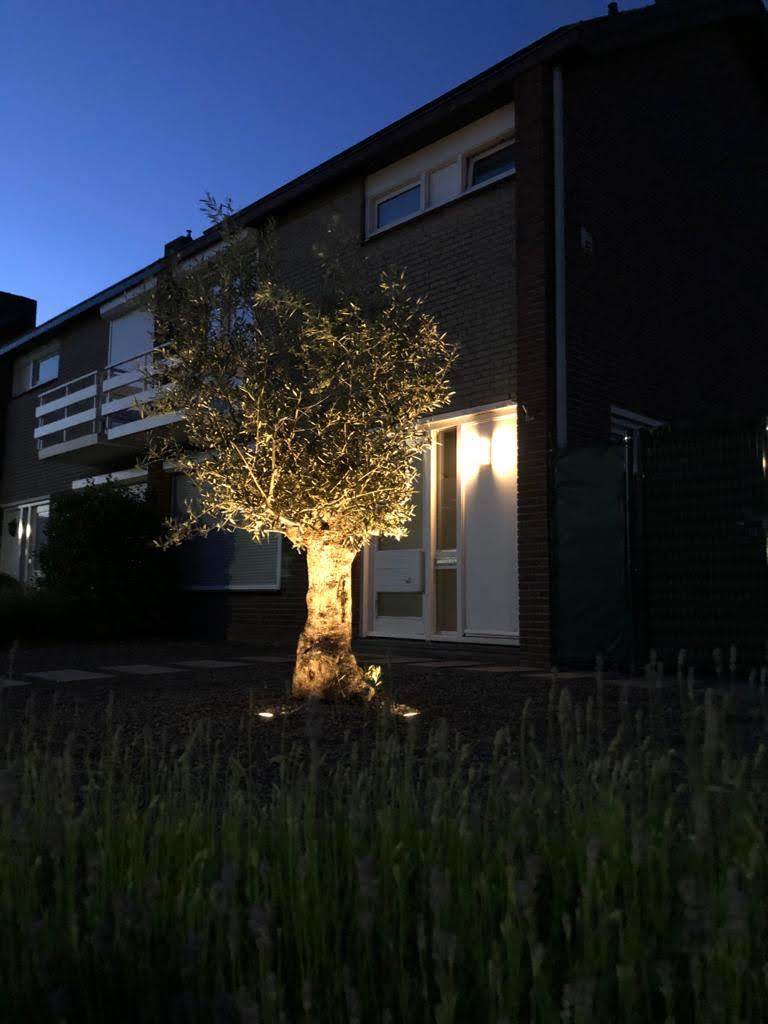 Buitenverlichting