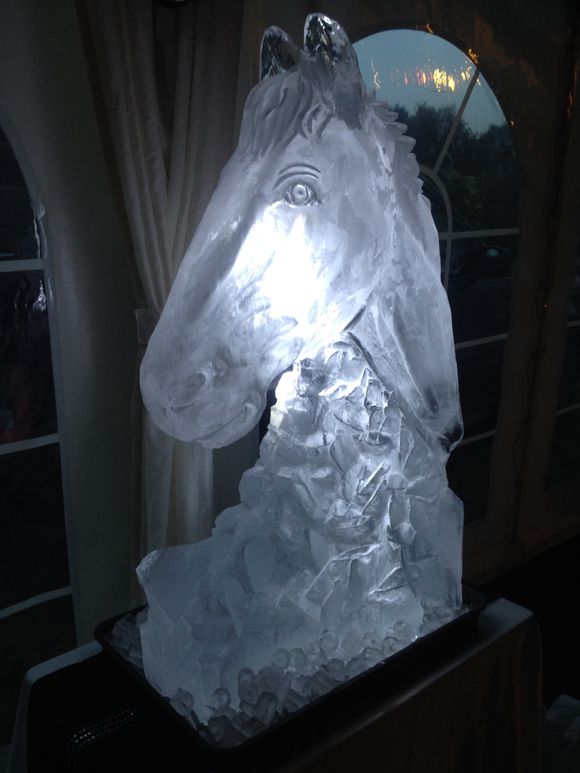 Birthday Horses head luge