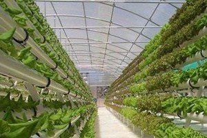 Build in the latest agritech