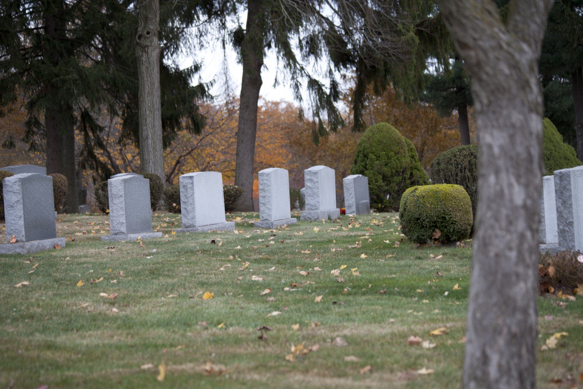 A graveyard with gray headstones on a grassy lawn; trees are in the background.